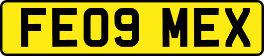 FE09MEX