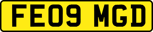 FE09MGD