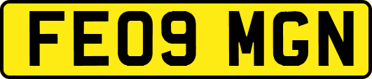 FE09MGN