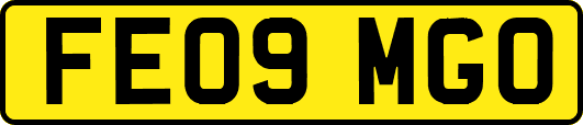 FE09MGO