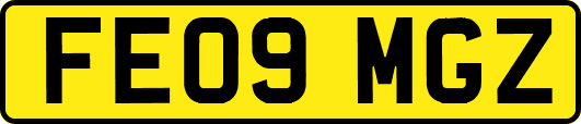 FE09MGZ