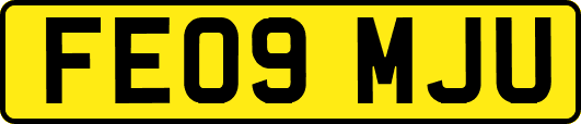 FE09MJU