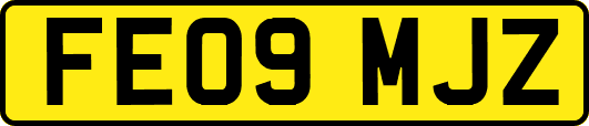 FE09MJZ