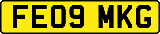 FE09MKG