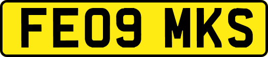 FE09MKS