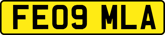 FE09MLA
