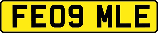 FE09MLE