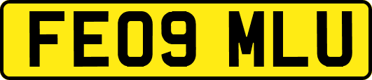 FE09MLU
