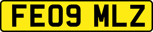 FE09MLZ