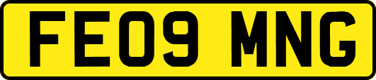 FE09MNG
