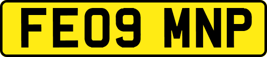 FE09MNP