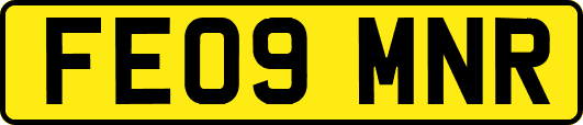 FE09MNR