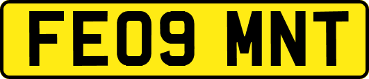 FE09MNT