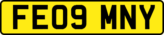 FE09MNY