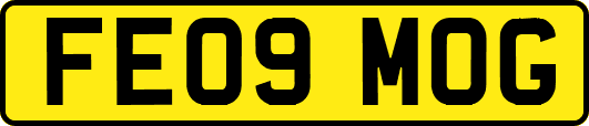 FE09MOG