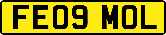 FE09MOL