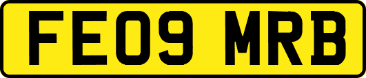 FE09MRB