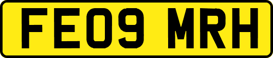 FE09MRH