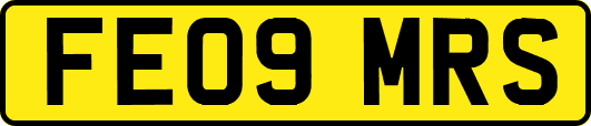 FE09MRS