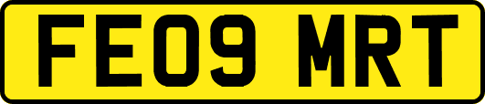 FE09MRT