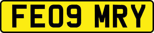 FE09MRY