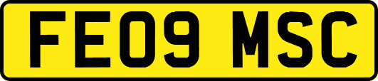 FE09MSC