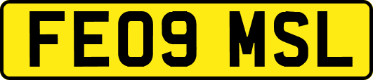 FE09MSL