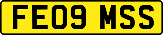 FE09MSS