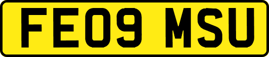 FE09MSU