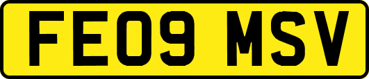 FE09MSV