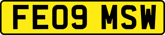 FE09MSW