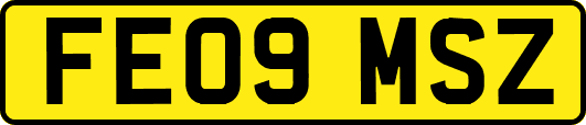 FE09MSZ