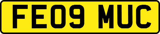 FE09MUC