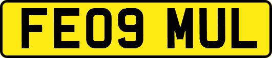 FE09MUL