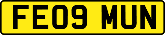 FE09MUN