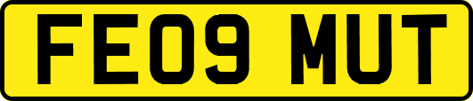FE09MUT
