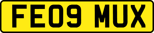 FE09MUX