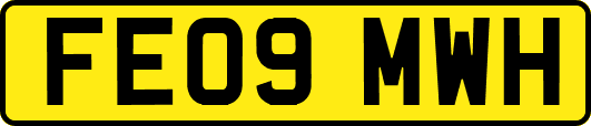 FE09MWH