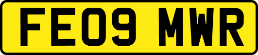 FE09MWR