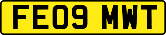 FE09MWT