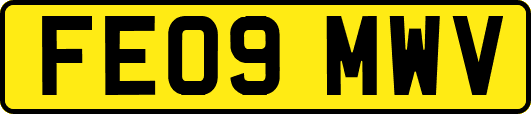 FE09MWV