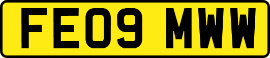 FE09MWW
