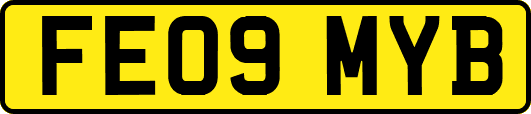 FE09MYB