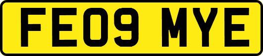 FE09MYE