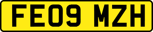 FE09MZH
