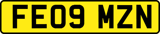 FE09MZN