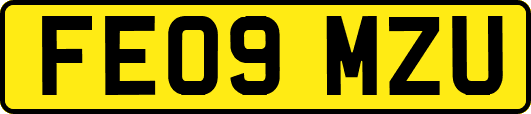 FE09MZU