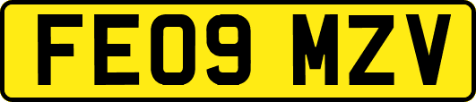 FE09MZV