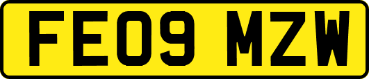 FE09MZW