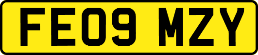 FE09MZY